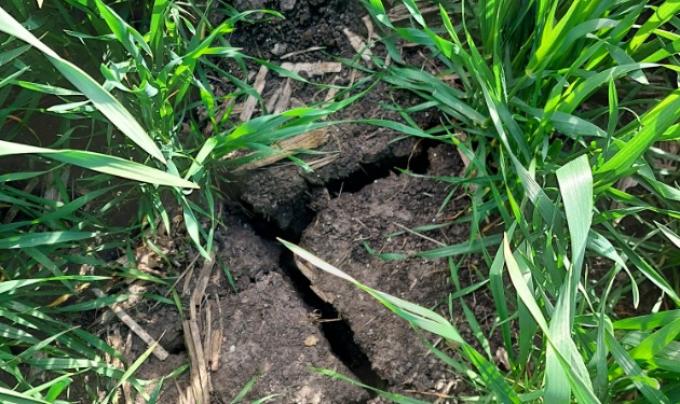 Se prevé que buena parte del NOA y Córdoba sigan teniendo precipitaciones menores a las normales hasta noviembre