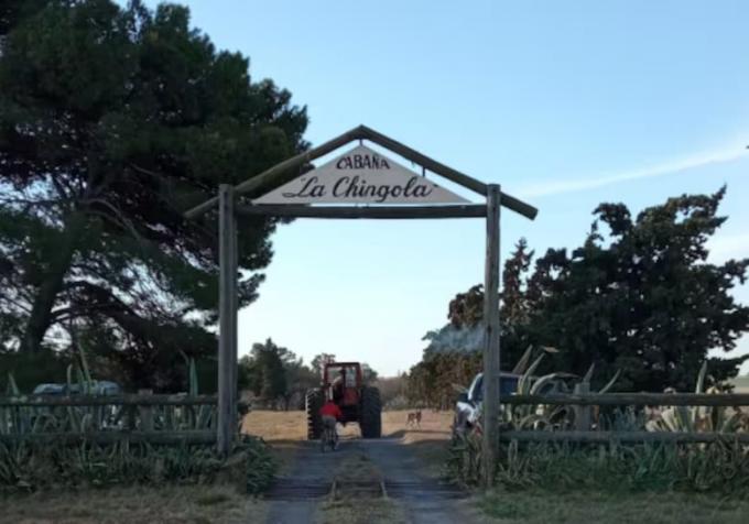 Esto no es un trabajo. Compró dos vacas para abrir un camino, ganó un campeonato y revela hasta dónde quiere llegar