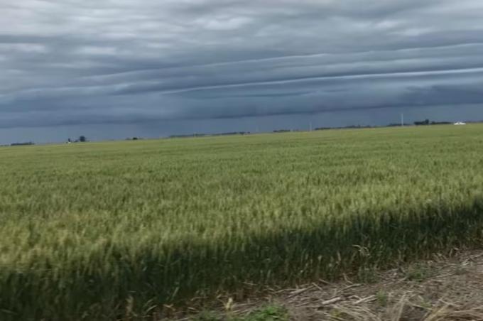 No tienen seguridad de cosecha. La advertencia de un experto en agrometeorología sobre la falta de lluvias en zonas clave