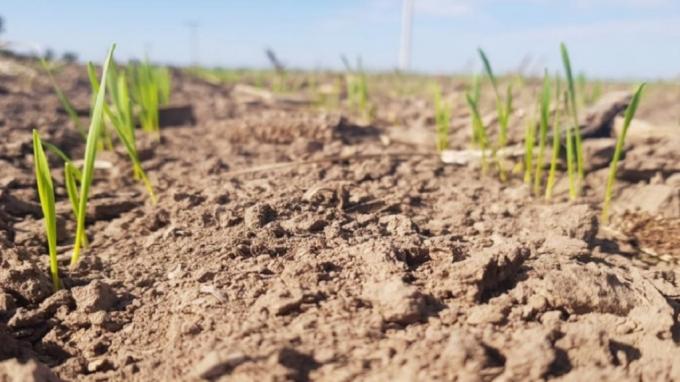 Comunicado de Prensa., Al campo se le acabaron las reservas monetarias e hídricas.09/10/2023