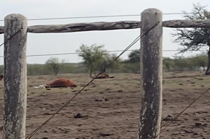 Nos fundimos trabajando. Una entidad del campo instó a los políticos para que hagan los cambios necesarios para el sector