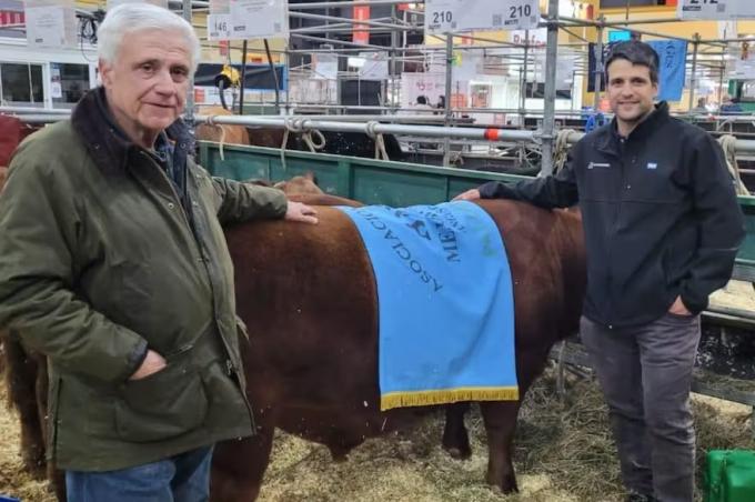 Esperando el nuevo parto. Crían Angus hace 70 años, apuntaron al colorado y hoy son líderes en la región