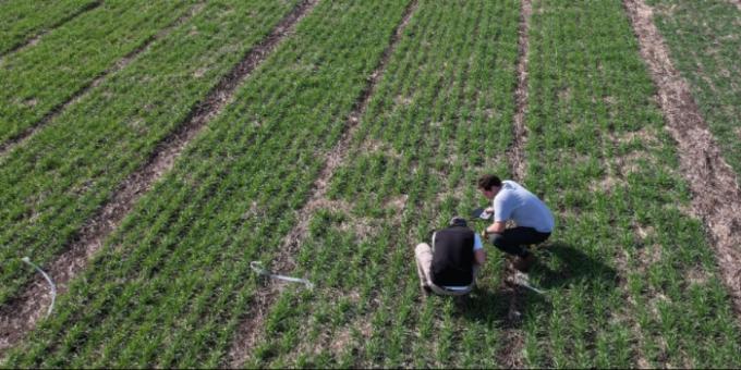 Asistencialismo en estado puro: La Secretaría de Agricultura quiere pagar dos visitas mensuales del ingeniero agrónomo para los chacareros que obtengan rindes menores al promedio.