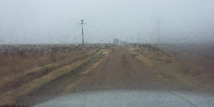 Un 47% del área de trigo argentina está en mala situación y su última esperanza son las lluvias pronosticadas a partir del domingo