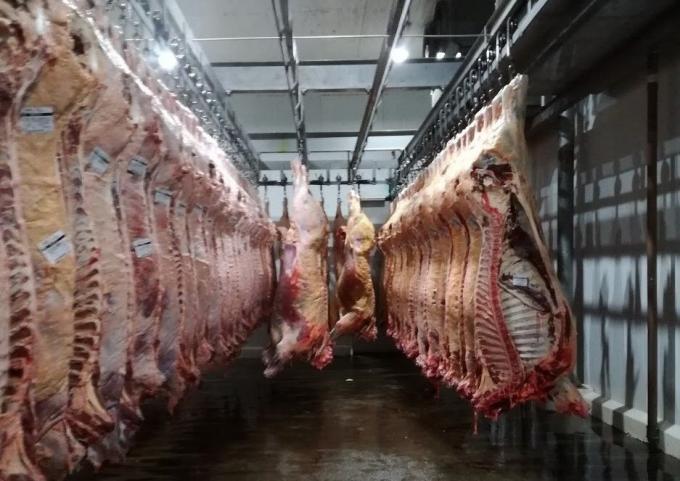 Fuerte caída en las exportaciones de carne vacuna. En septiembre bajaron 30%