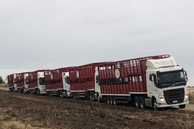 Crisis. Alertan que en una región un 30% de los productores dejó la actividad o hizo un forzado traslado de vacas