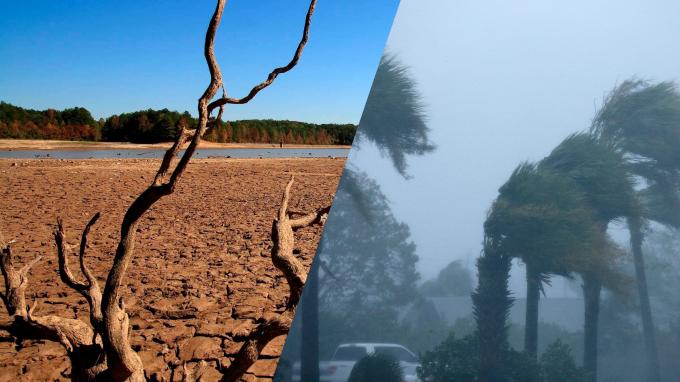 Diverso, El Niño se asomó en la primera parte de una campaña con mucho en juego