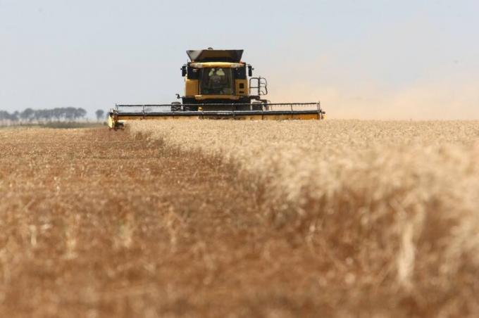 Cosecha de trigo el abecé para no dejar ningún grano en el suelo