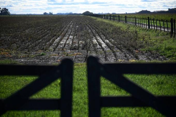 Que el campo no pague los platos rotos. Contundente apoyo del interior productivo en favor de un cambio de políticas para el sector