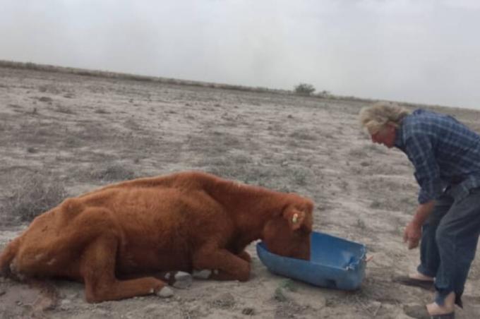 “Vivimos en un desierto”: la región bonaerense que se transformó en un paisaje nunca visto