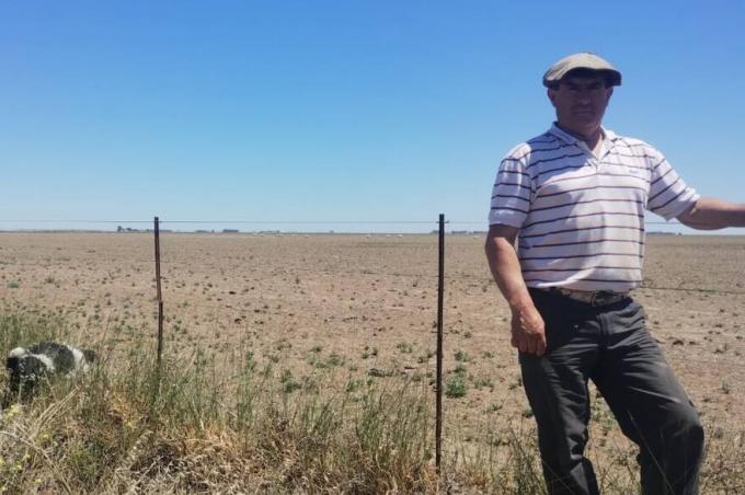 Una catástrofe.  El drama de desolación y muerte en los campos de una región convertida en un desierto