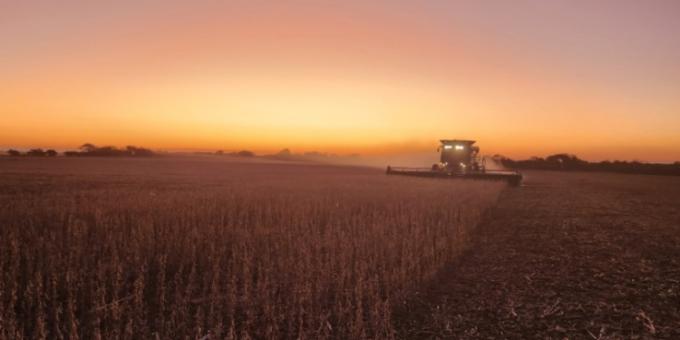 Brechas. Argentina logra producir apenas un 63% del rendimiento potencial alcanzable de soja de primera