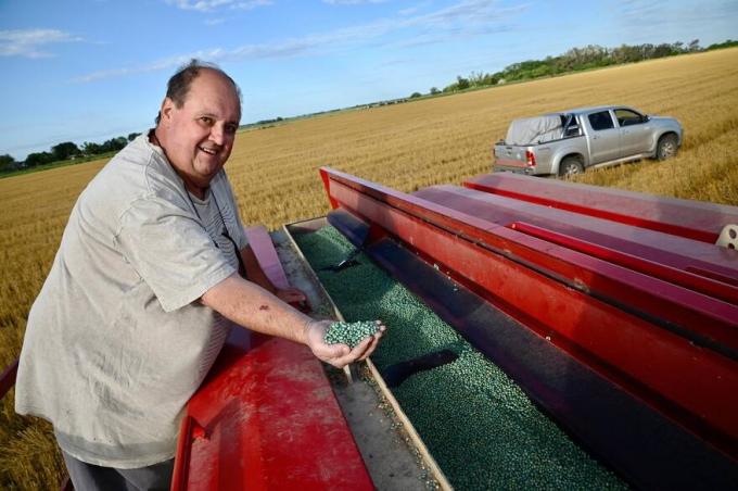 Rotundo cambio las lluvias despejaron la última incógnita y el campo acelera la siembra