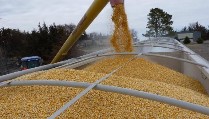 El Niño no se porta bien en Brasil y puede ser una buena noticia para el maíz tardío argentino