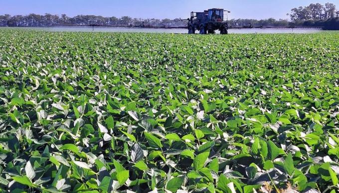 Del dicho al hecho hay un largo trecho. Nuevo impuestazo al agro con un aumento del 130% del impuesto PAIS