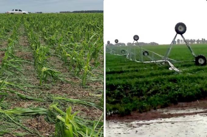 Fue muy fuerte. Una devastadora tormenta arrasó con miles de hectáreas de cultivos