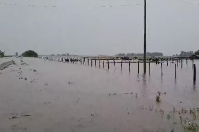 Arrasó con todo. El temporal causó destrozos en el campo y hay millonarias pérdidas