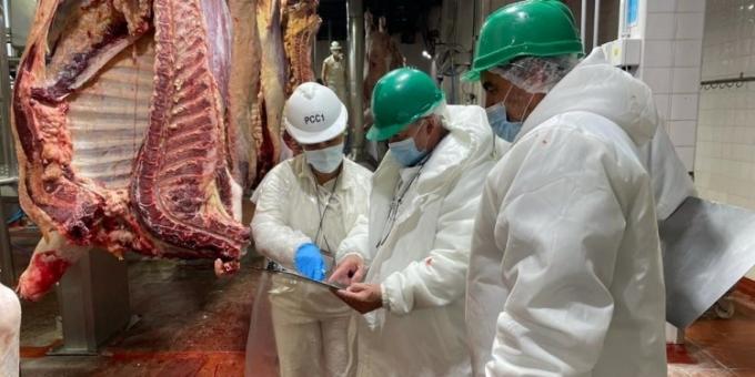 Mesa de las Carnes. El día en que los empresarios que soñaban con poder exportar libremente se preocuparon por los empleados del Senasa que deben certificar sus exportaciones