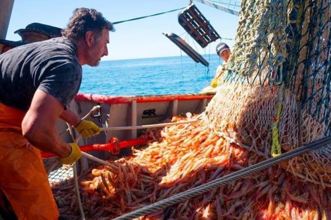 Es una bomba. El sector pesquero alerta que los cambios impulsados por el Gobierno generarán una crisis