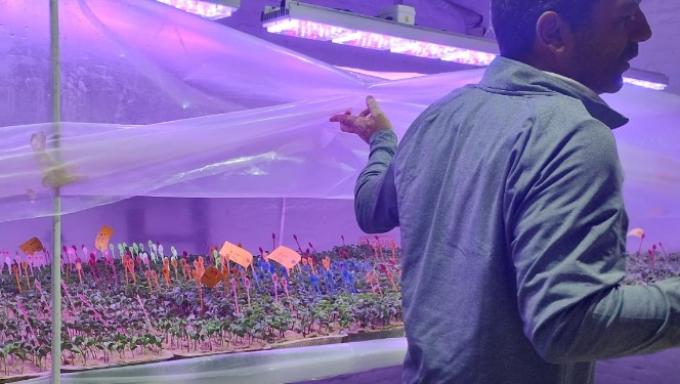 Genética En 2023 se cayó la inscripción de cultivares de soja en la Argentina para registrar el nivel más bajo desde 2019