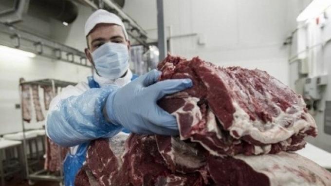 Inflación, suba de retenciones y falta de hacienda. La exportación de carne vacuna enfrenta riesgos y se limitaría su crecimiento en 2024