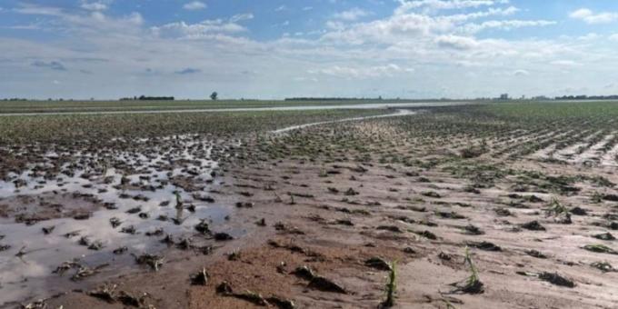 Cuánta lluvia cayó el fin de semana en la región agrícola núcleo. En algunos sitios, demasiada para tan poco rato