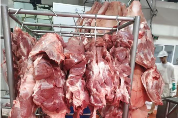 Están prohibiendo la exportación. Fuerte preocupación entre los productores de cerdo por la suba de las retenciones