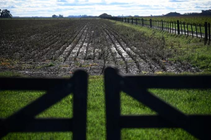  La carrera de obstáculos para llegar a una primera meta 150 millones de toneladas