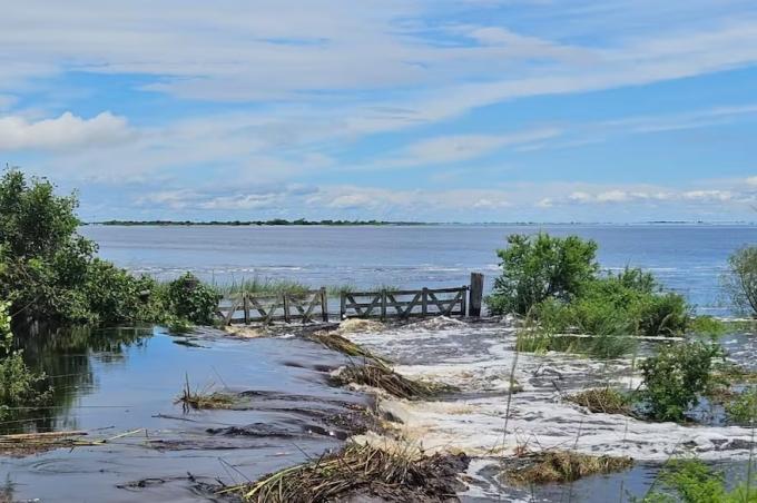 Estaban a solo cuatro días de la cosecha y un diluvio les dejó un desastre