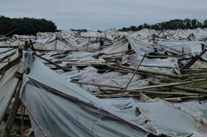 Directo a la basura un impresionante temporal arrasó una región productiva y estiman que las pérdidas rondan los US$50 millones