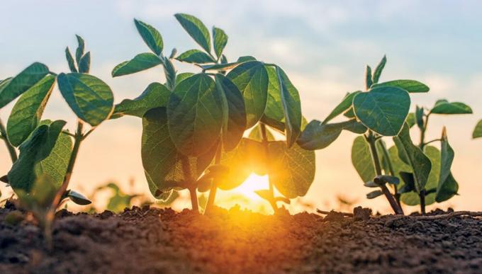 El clima para los próximos días lluvias que se harán esperar y temperaturas que seguirán en aumento