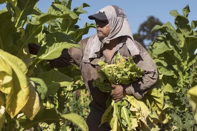 Retenciones cuáles son las economías regionales que aún esperan una señal del Congreso