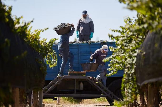 Se avecina un nuevo round para la agroindustria luego de la marcha atrás con la suba de los derechos de exportación