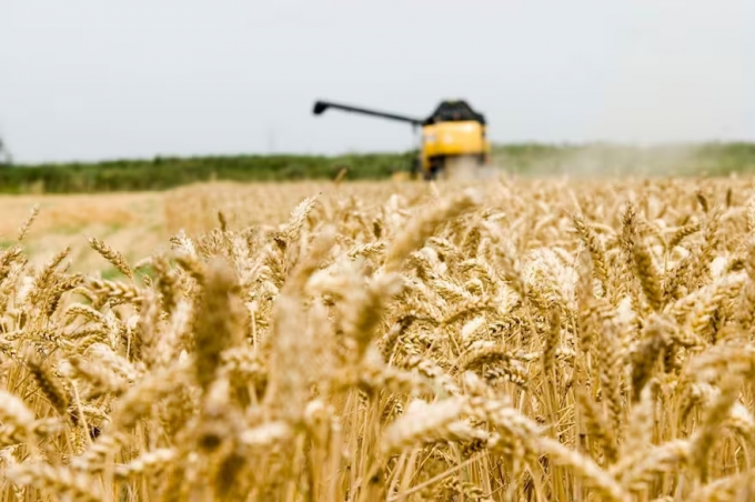 El agricultor ya es un empresario con visión estratégica