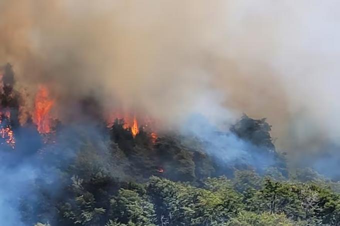 Incendios forestales en la Patagonia la Rural se solidarizó y pidió que la Justicia encuentre a los responsables