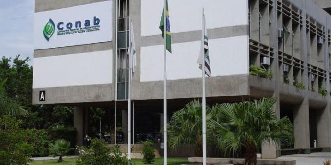 Conab ajustó la estimación de cosecha de la soja brasileña y avisa que podría haber más recortes