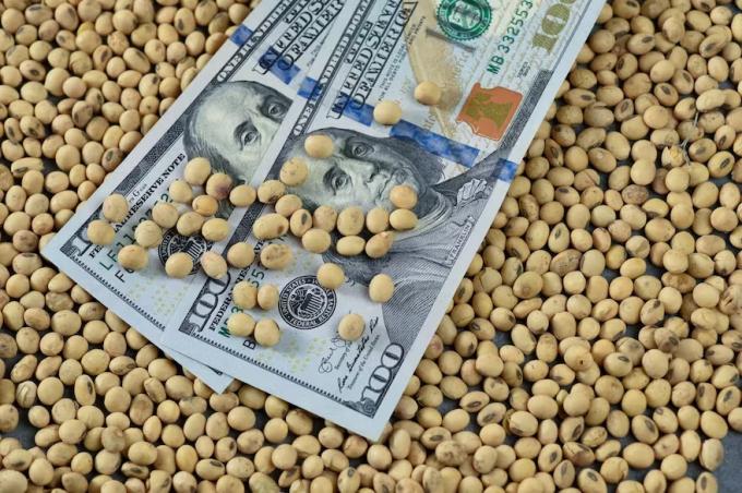Los motivos que llevaron a dos entidades del mercado de granos a crear el dólar exportador