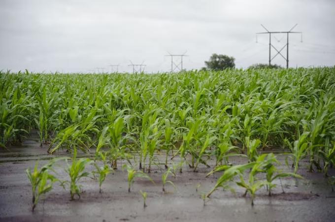 Dilema estamos frente a una agricultura cada vez más riesgosa