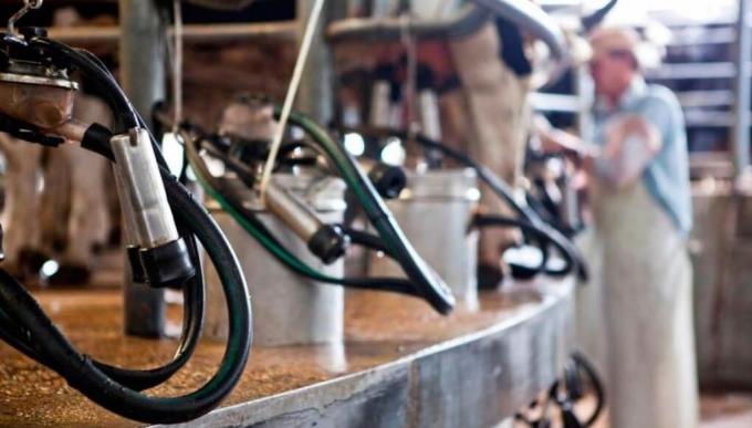 La producción de leche inició 2024 con un derrumbe del 12,6%: la peor caída en siete años