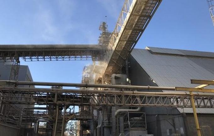 Contra todo pronóstico la molienda de soja creció en el primer mes del año