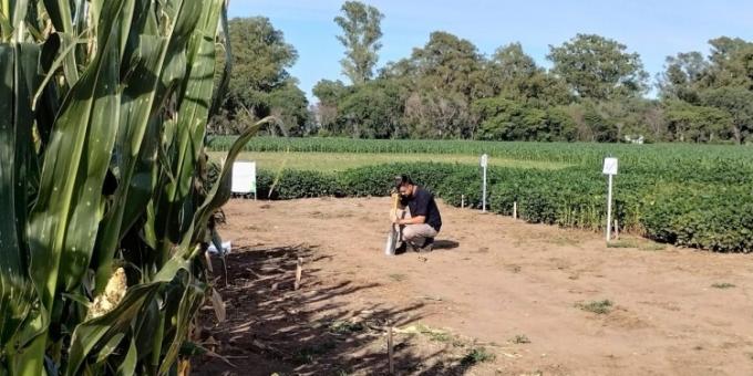 En la agricultura argentina el mercado de insumos biológicos ya crece más rápido que el de agroquímicos