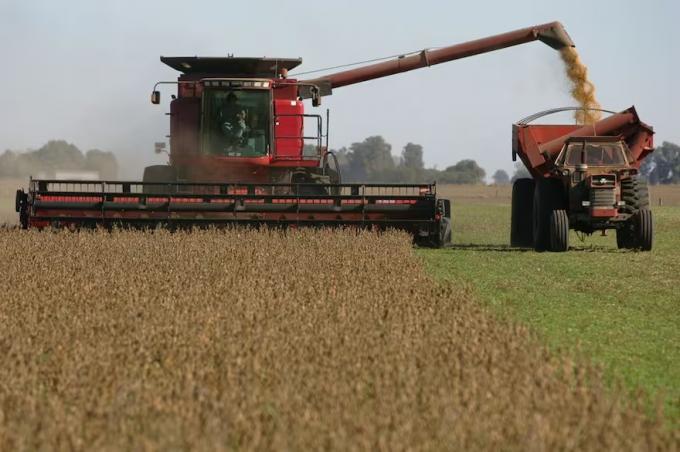 Según un informe alerta por un fuerte deterioro en un indicador decisivo para el campo