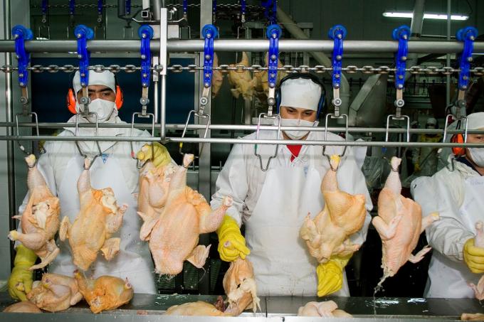 Argentina logró la reapertura del mercado de productos avícolas del Reino Unido