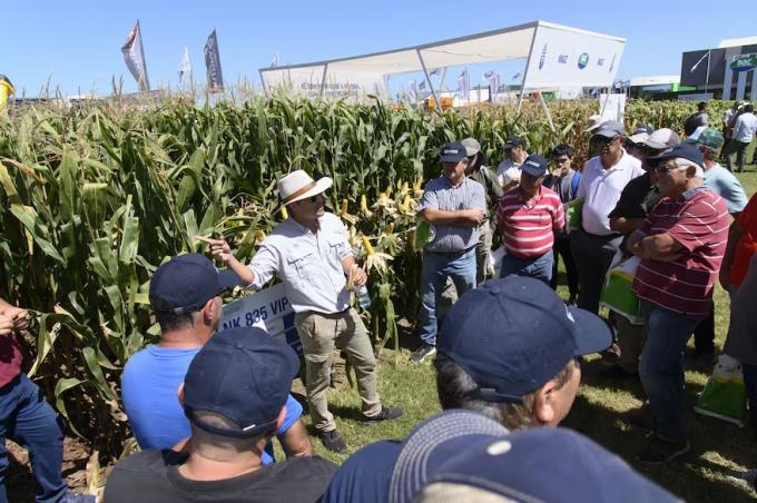 El campo se anticipa a la dolarización con una inusual demanda de créditos en dólares