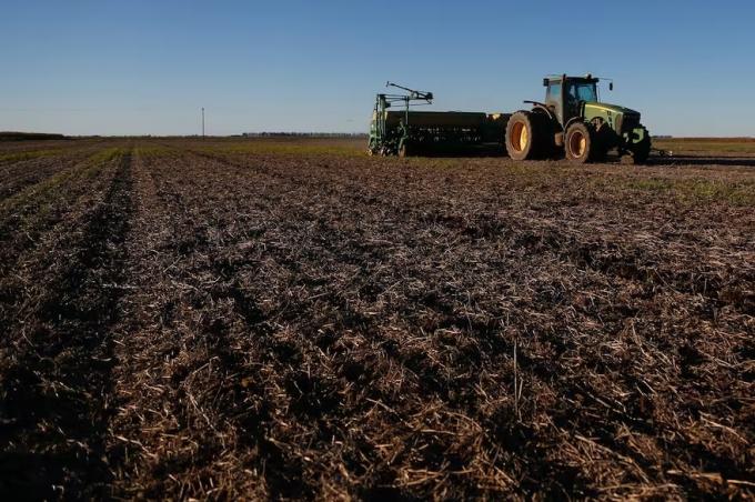 No cierran los números para la nueva siembra encienden una preocupante alarma