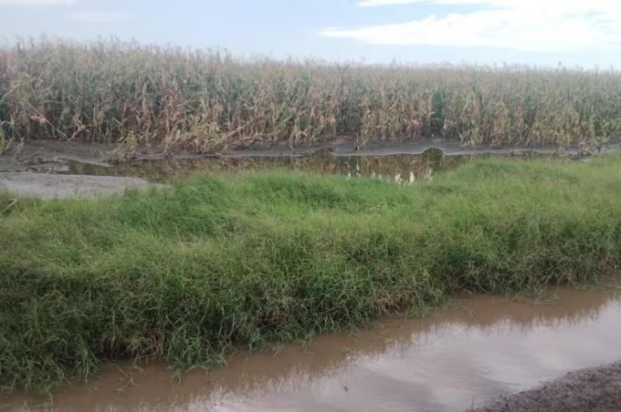 Raramente visto según los expertos, las lluvias de estos días son esenciales para morigerar un pronóstico que ya preocupa