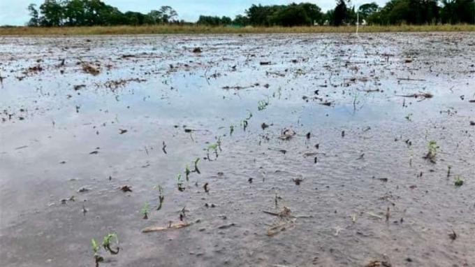 Comunicado de Prensa. Excesos de precipitaciones en el sur de Santa Fe..18/03/2024