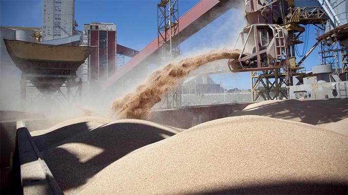 Las exportaciones alcanzarían los US$81.000 millones este año