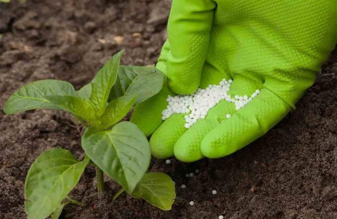  Argentina comienza a quedarse sin reservas de fertilizantes fosfatados pero es tan pobre el ánimo de siembra que a nadie le importa