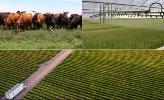 Qué son las Empresas B y el listado de las siete argentinas de agro que ya tienen la certificación internacional